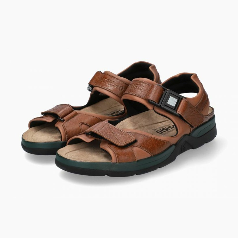 Mephisto Shark Fit Sandaler Herre Brune | ZMRK-59473