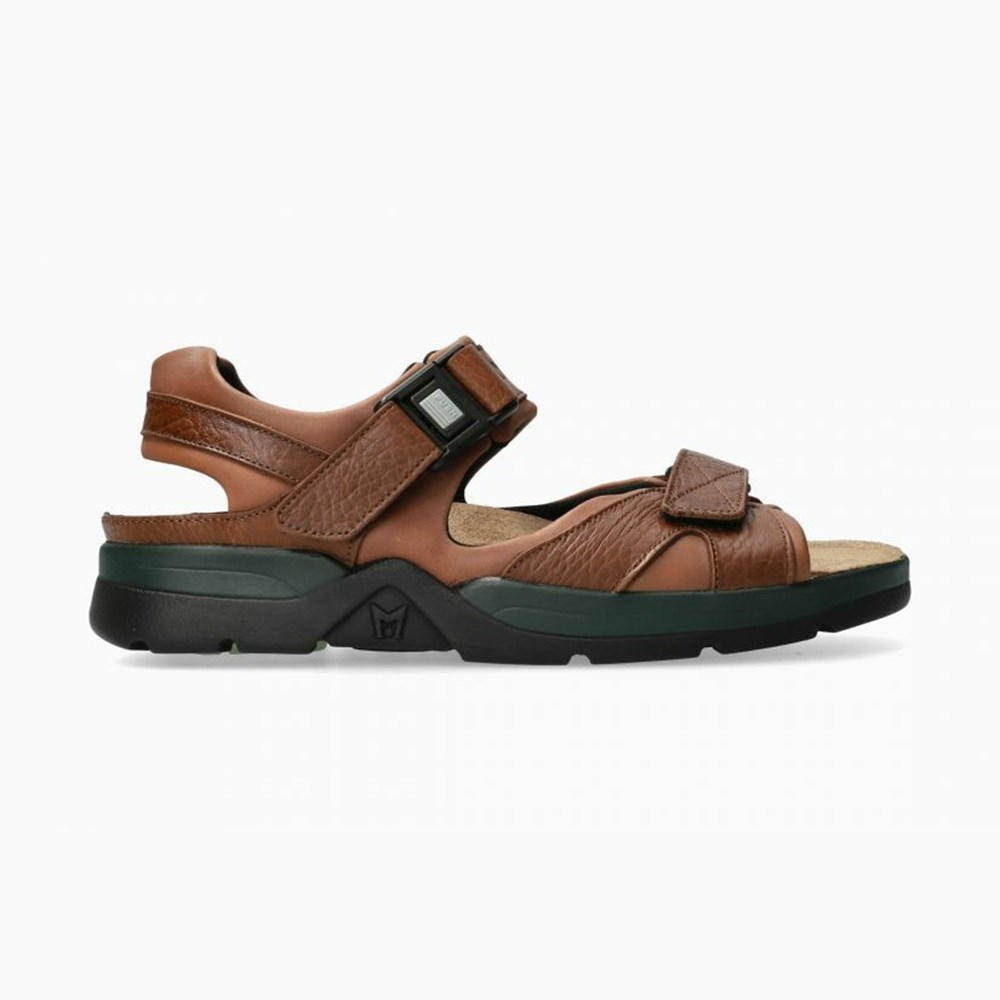 Mephisto Shark Fit Sandaler Herre Brune | ZMRK-59473